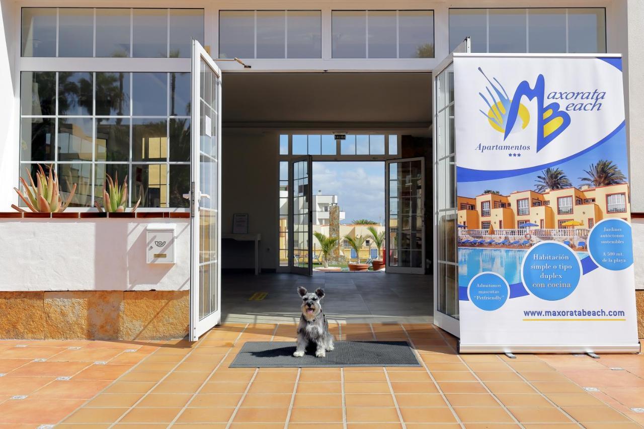 Apartamentos Maxorata Beach Corralejo Eksteriør bilde