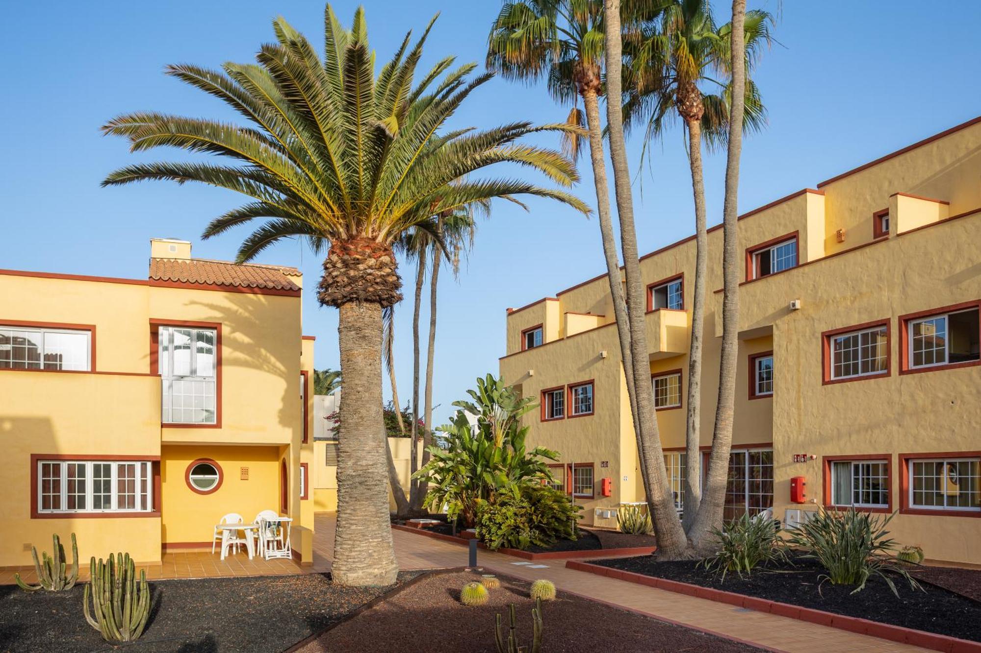 Apartamentos Maxorata Beach Corralejo Eksteriør bilde